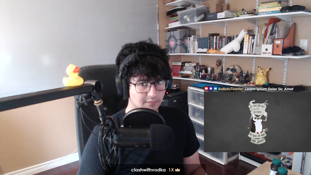 FullscreenCam scene with chatbox and preview window.